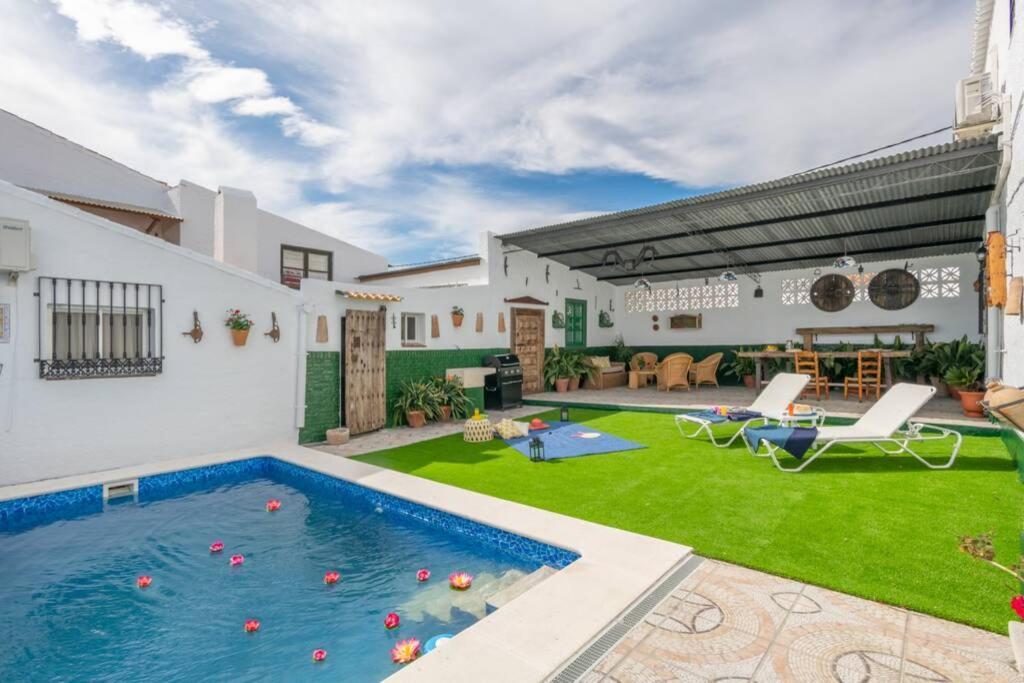 Zalea Real -super Ideal Grupos, Piscina ! * Pizarra